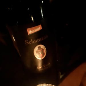 Sivi Pinot Grigio - Šuman Vina - radovan-simona-suman