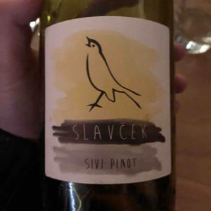Sivi Pinot - Slavček - franc-vodopivec