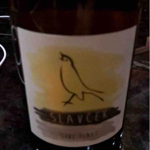Sivi Pinot - Slavček - Franc Vodopivec 