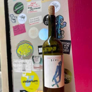 Sivi Pinot 006 - Kmetija Štekar - janko-stekar