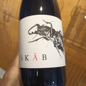 Skab - Les Chiens d'la Casse - jeremy-razafintsalama -2020