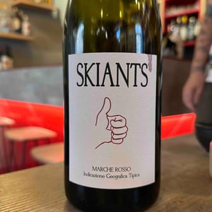 Skiants (X Lea Pailloncy) - Fattoria Villa Ligi - Francesco & Stefano Tonelli & Lea Pailloncy 