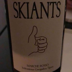 Skiants (X Lea Pailloncy) - Fattoria Villa Ligi - Francesco & Stefano Tonelli & Lea Pailloncy 