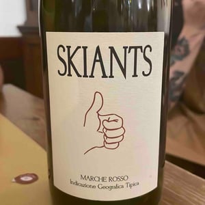 Skiants (X Lea Pailloncy) - Fattoria Villa Ligi - francesco-stefano-tonelli-lea-pailloncy