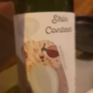 Skin Contact - Sons of Wine - farid-yahimi