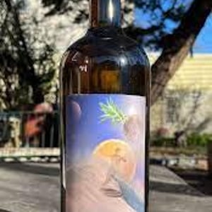 Skin Contact - Sons of Wine - farid-yahimi