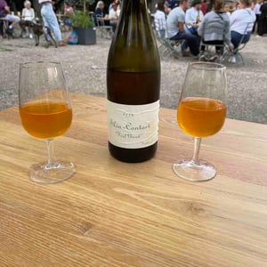 Skin Contact Feel Good - Domaine de Chassorney - Frédéric Cossard -2018