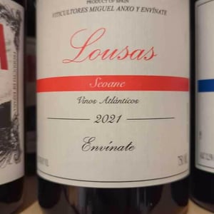 Lousas Parcela Seoane - Envínate - roberto-santana-alfonso-torrente-laura-ramos-jose-martinez