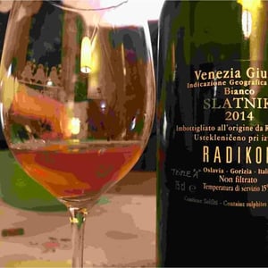 Slatnik 2014