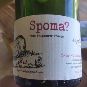 "Spoma?" - Angol d'Amig - marco-lanzotti