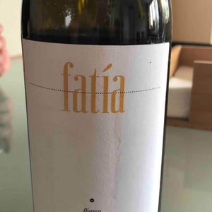 Fatia 17
