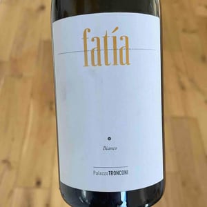 Fatia - Palazzo Tronconi - Marco Marrocco 