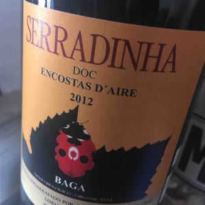 Encostas d’Aire - Quinta da Serradinha - antonio-marques-da-cruz