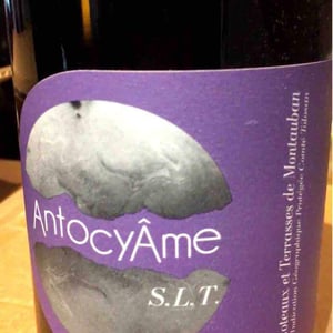 AntocyÂme - Muriel Zoldan - S.L.T