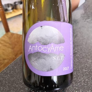 AntocyÂme - Muriel Zoldan - S.L.T