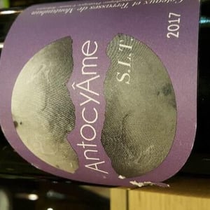 S.L.T 2017
