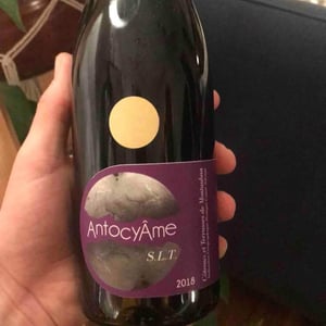 AntocyÂme - Muriel Zoldan - S.L.T