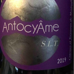 S.L.T - AntocyÂme - muriel-zoldan