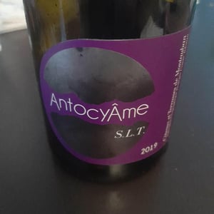 AntocyÂme - Muriel Zoldan - S.L.T