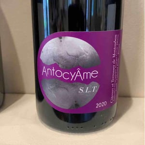 S.L.T - AntocyÂme - muriel-zoldan