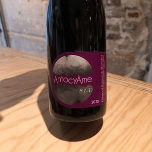 S.L.T - AntocyÂme - muriel-zoldan