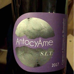 AntocyÂme - Muriel Zoldan - S.L.T
