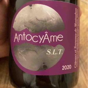 S.L.T - AntocyÂme - Muriel Zoldan 