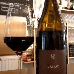 Gamay - Les Hauts Baigneux - Nicolas Grosbois & Philippe Mesnier 