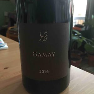 Gamay - Les Hauts Baigneux - nicolas-grosbois-philippe-mesnier