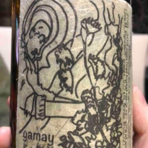 Gamay - Lucy Margaux Vineyards - Anton Van Klopper 