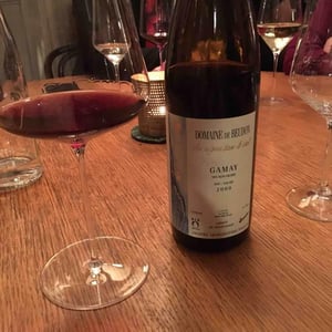 Gamay - Domaine de Beudon - Marion Granges-Fayss 