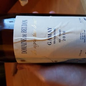 Gamay - Domaine de Beudon - marion-granges-fayss