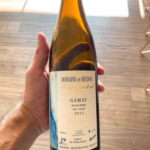 Gamay - Domaine de Beudon - marion-granges-fayss