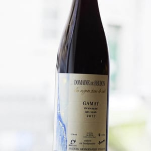 Gamay - Domaine de Beudon - marion-granges-fayss