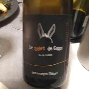 Gamay - Domaine de l'Iserand - Jean-François Malsert 