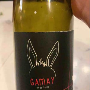 Gamay - Domaine de l'Iserand - jean-francois-malsert