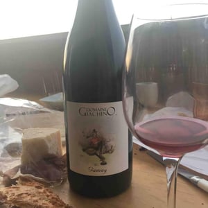 Gamay - Domaine Giachino - Frédéric, David & Clément Giachino 