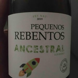 Pequenos Rebentos Ancestral - Márcio Lopes - marcio-lopes