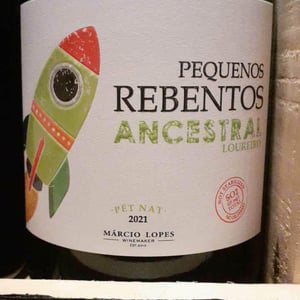 Pequenos Rebentos Ancestral - Márcio Lopes - marcio-lopes