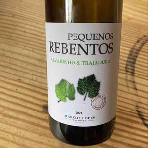 Pequenos Rebentos Ancestral - Márcio Lopes - marcio-lopes
