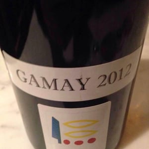 Gamay - Domaine Prieuré Roch - henry-frederic-roch-yannick-champ