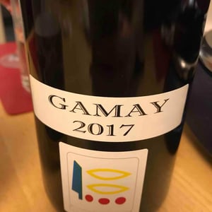 Gamay - Domaine Prieuré Roch - Henry-Frédéric Roch & Yannick Champ 