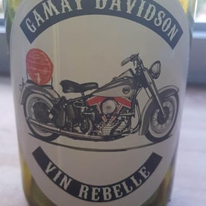 Gamay Davidson Vin Rebelle - Sons of Wine - farid-yahimi