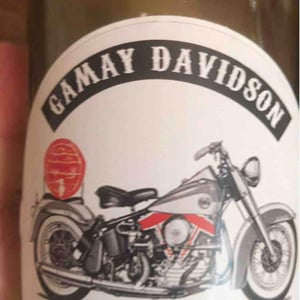 Gamay Davidson Vin Rebelle - Sons of Wine - Farid Yahimi 