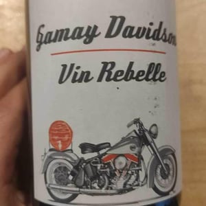 Gamay Davidson Vin Rebelle 2019 - Sons of Wine - Farid Yahimi