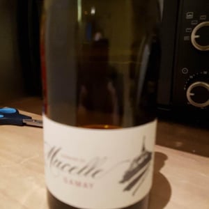 Gamay - Domaine De Mucelle - frederic-pericard
