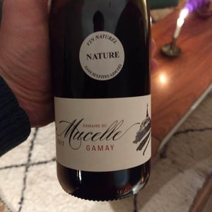 Gamay - Domaine De Mucelle - frederic-pericard