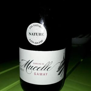 Gamay - Domaine De Mucelle - frederic-pericard