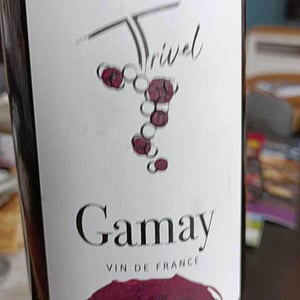 Gamay