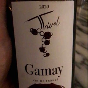 Gamay - Domaine de Trivel - Sidonie Joggerst & Thomas Guillon 